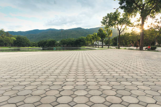 Best Driveway Paving Contractor  in Vernon, AL
