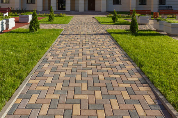 Best Affordable Driveway Paving  in Vernon, AL